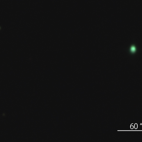 NGC6572 エメラルド星雲