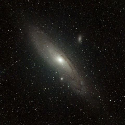 M31