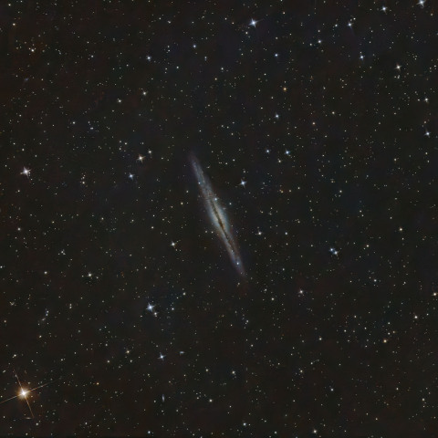 NGC891