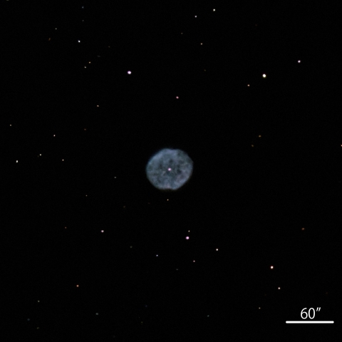 NGC1501