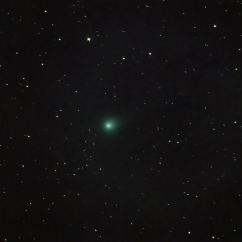 C/2025A6 レモン彗星