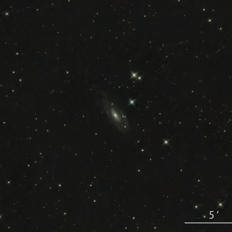 NGC1964