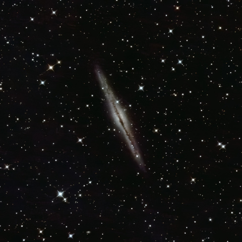 NGC891
