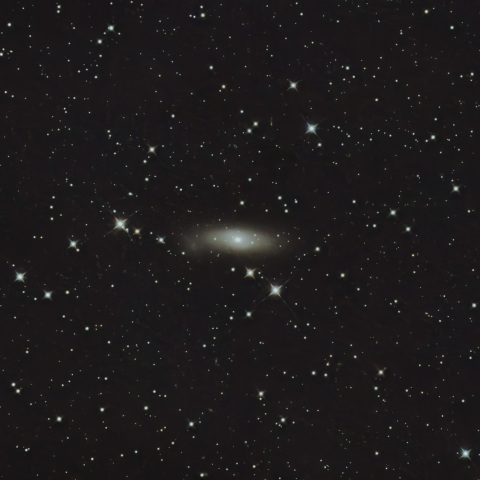 NGC1023
