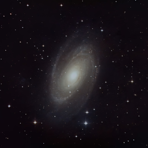M81