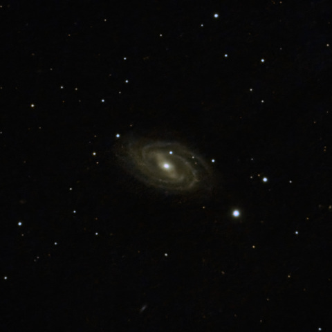 M109
