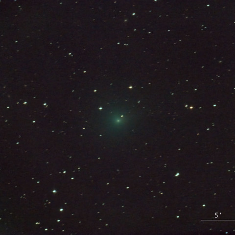 ショーマス彗星 24P/Schaumasse