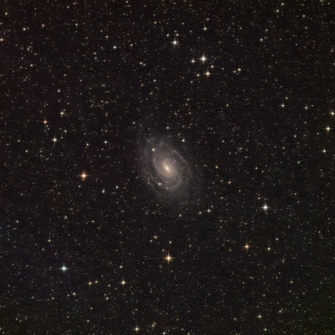 NGC6384