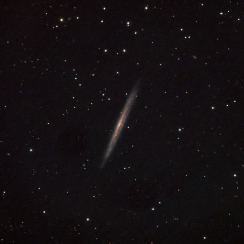NGC5907 超新星SN2026Kid
