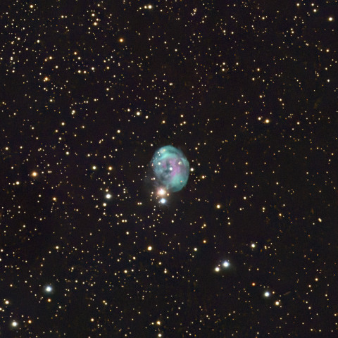 NGC7008 胎児星雲