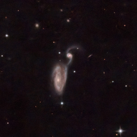 Arp84 さぎ銀河
