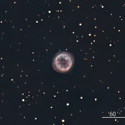 NGC69844