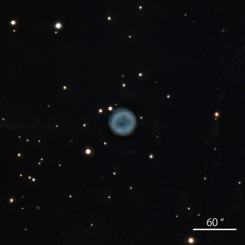 Abell81
