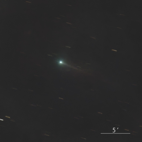 220P McNaught