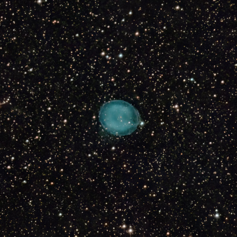 IC1295