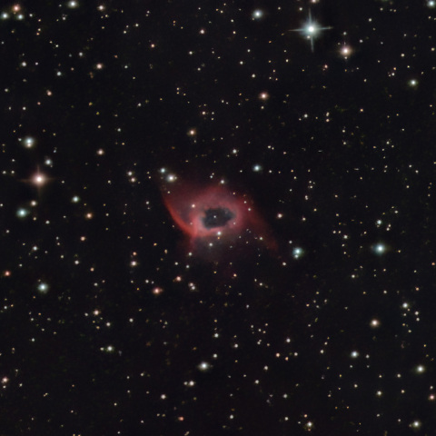 Abell79