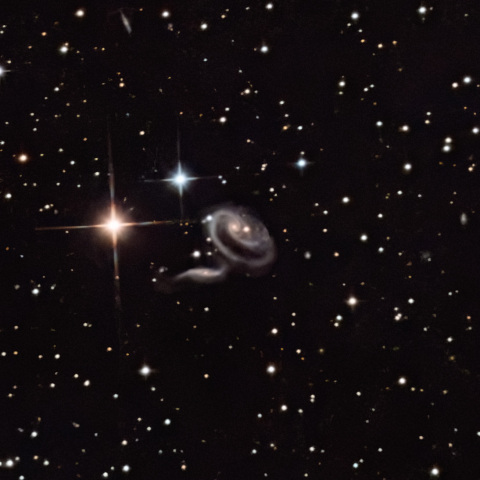 Arp273