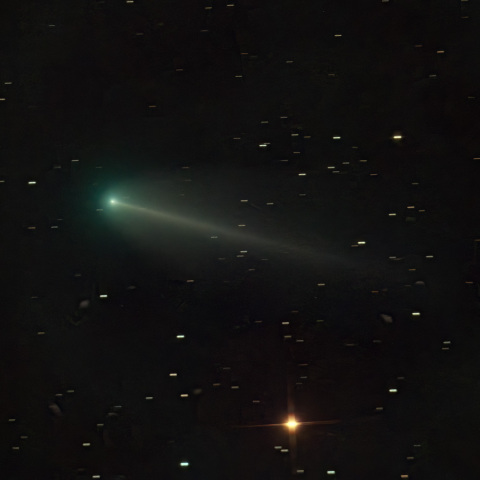 220P マクノート彗星