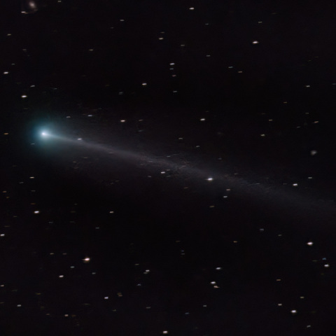220P マクノート彗星