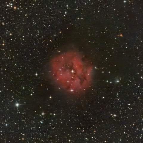 IC5146 まゆ星雲