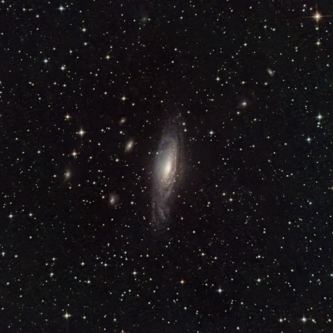 NGC7331
