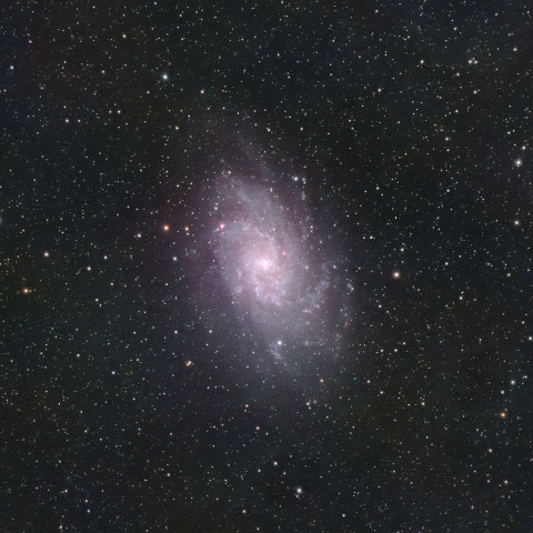 M33