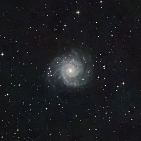 M74