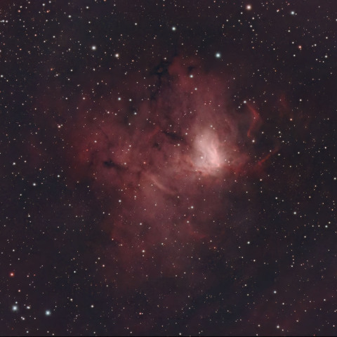 NGC1491