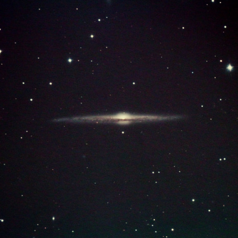 NGC 4565