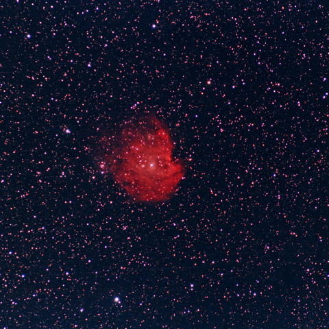 モンキー星雲（NGC2174）