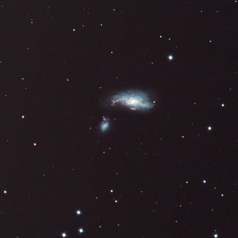 NGC 4490 (まゆ銀河)