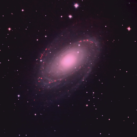 M81