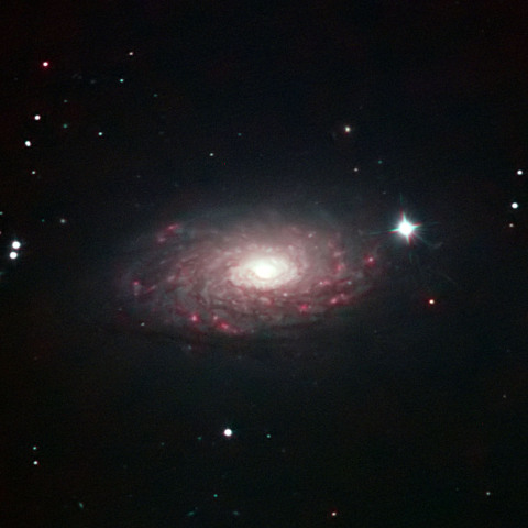 M63 ひまわり銀河