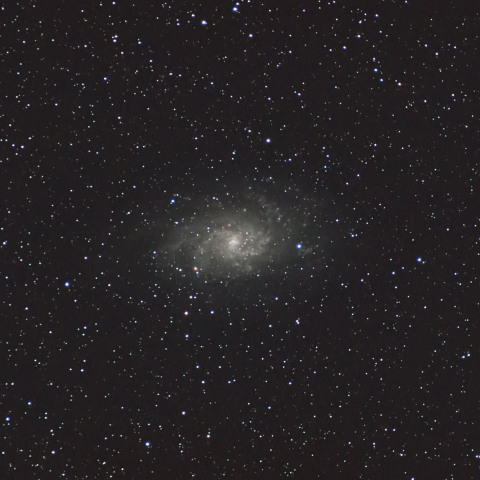 M33