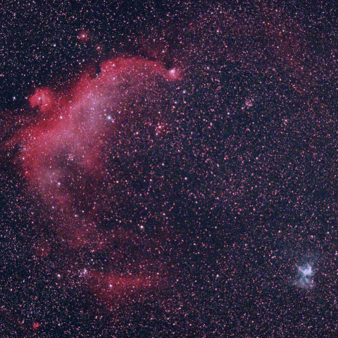かもめ星雲（IC2177）とトールのカブト星雲（NGC2359）