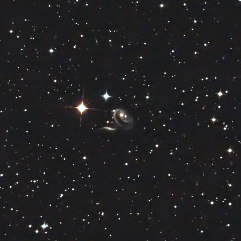 Arp273