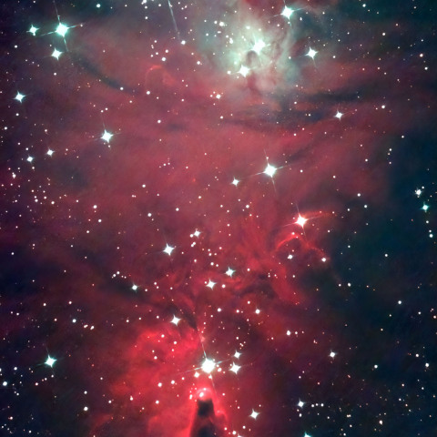NGC2246 コーン星雲 クリスマスツリー星団