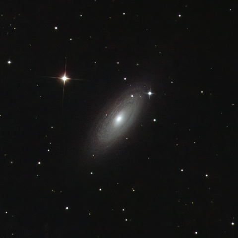 NGC2841
