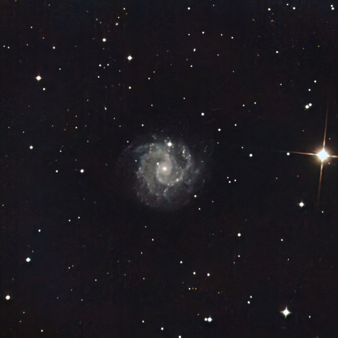 108251: NGC3184 おおくま座の銀河 by n-takeki - 天体写真