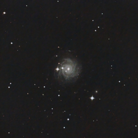 NGC3344