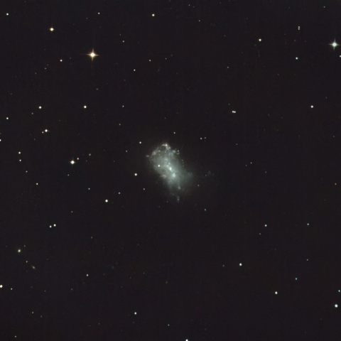 NGC4449