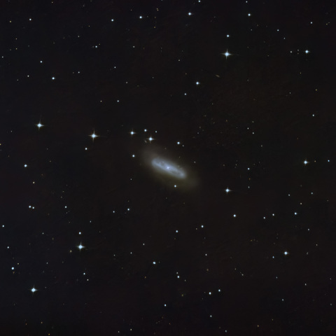 NGC4293