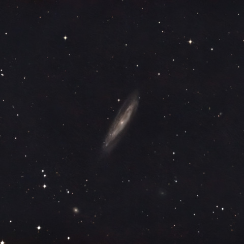 M98