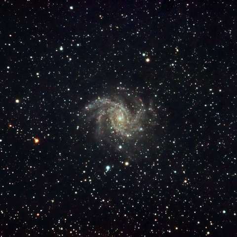 NGC6946 花火銀河