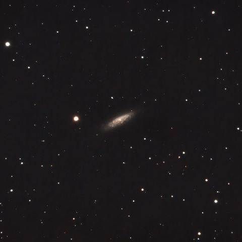 NGC6503