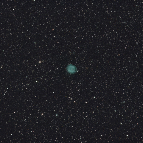 IC1295