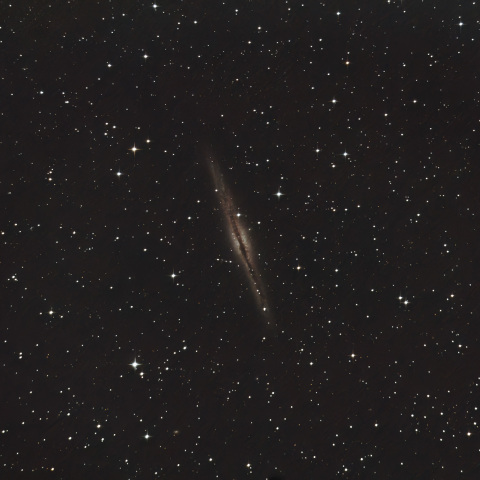 NGC891