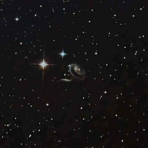 Arp273