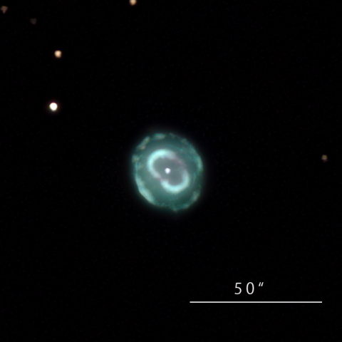 NGC7662 青い雪玉星雲