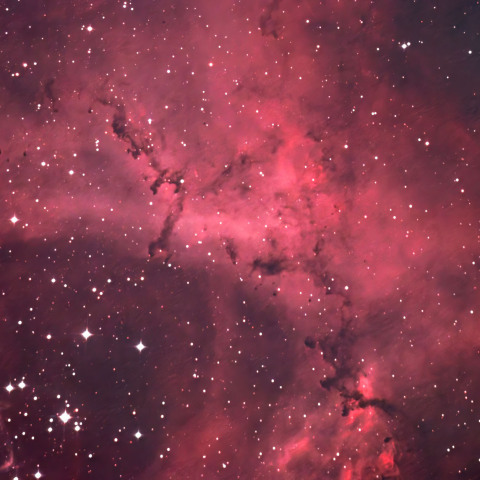 ばら星雲 帯状の暗黒星雲とグロビュール